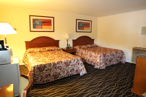 Two Double Beds Photo 1